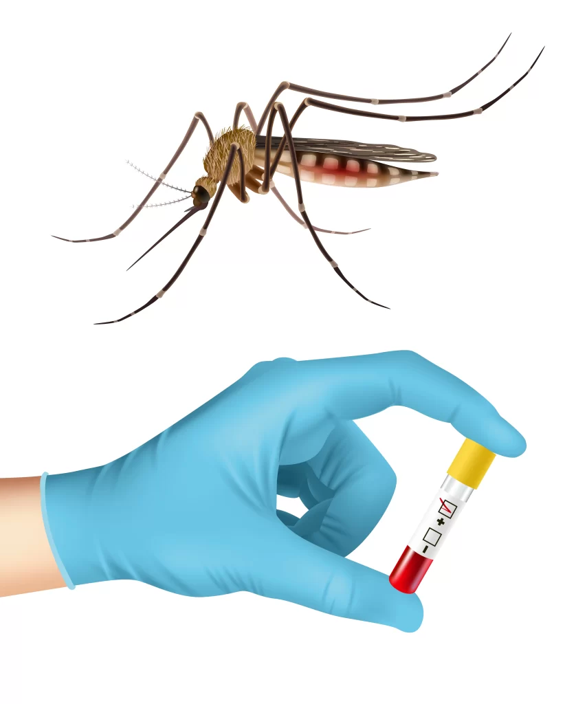 Mosquito Aedes Aegypti (exame laboratorial)